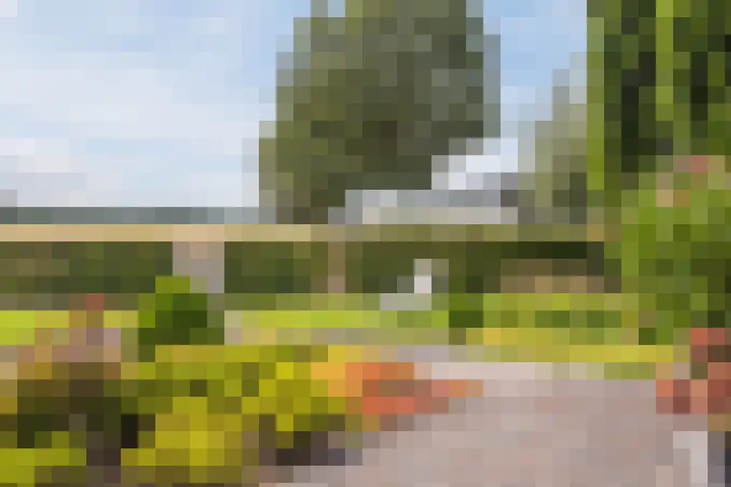 Hoge Rijt 33 Luyksgestel thumbnail 42