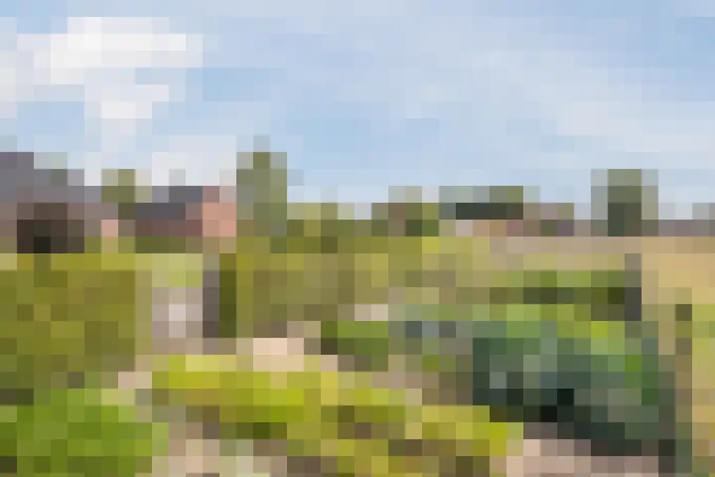 Hoge Rijt 33 Luyksgestel thumbnail 44