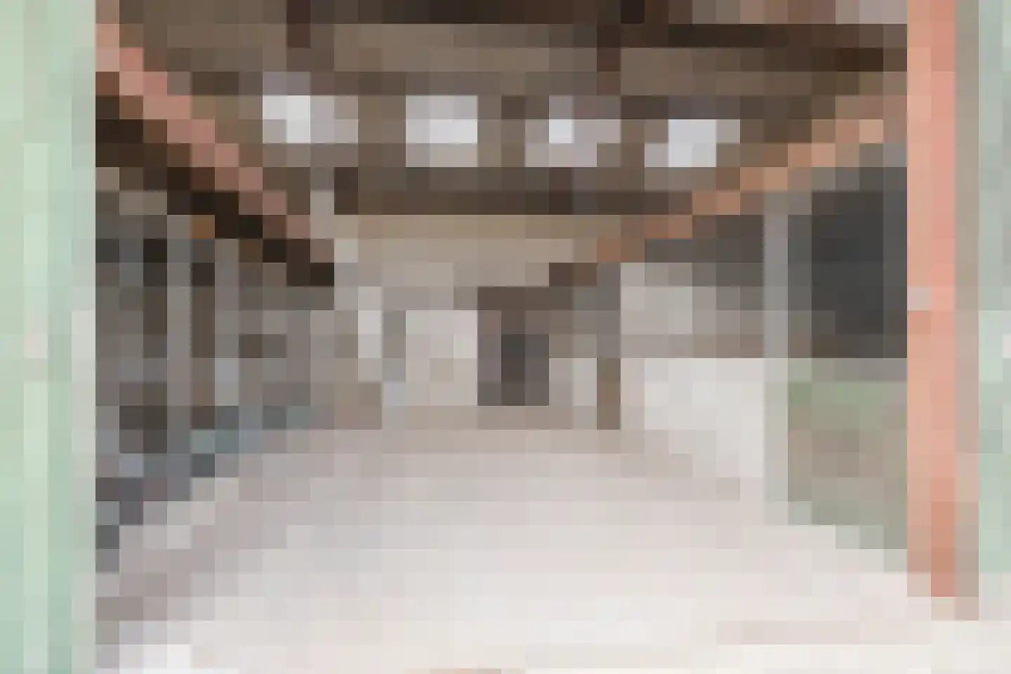 Hoge Rijt 33 Luyksgestel thumbnail 49