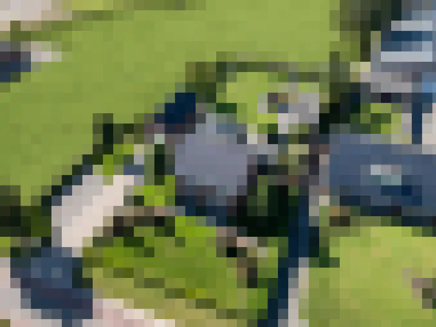 Hoge Rijt 33 Luyksgestel thumbnail 50