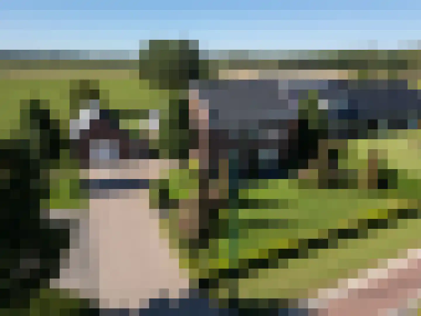 Hoge Rijt 33 Luyksgestel thumbnail 53