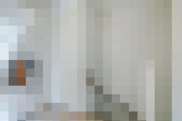 Hoge Rijt 5 Luyksgestel thumbnail 16