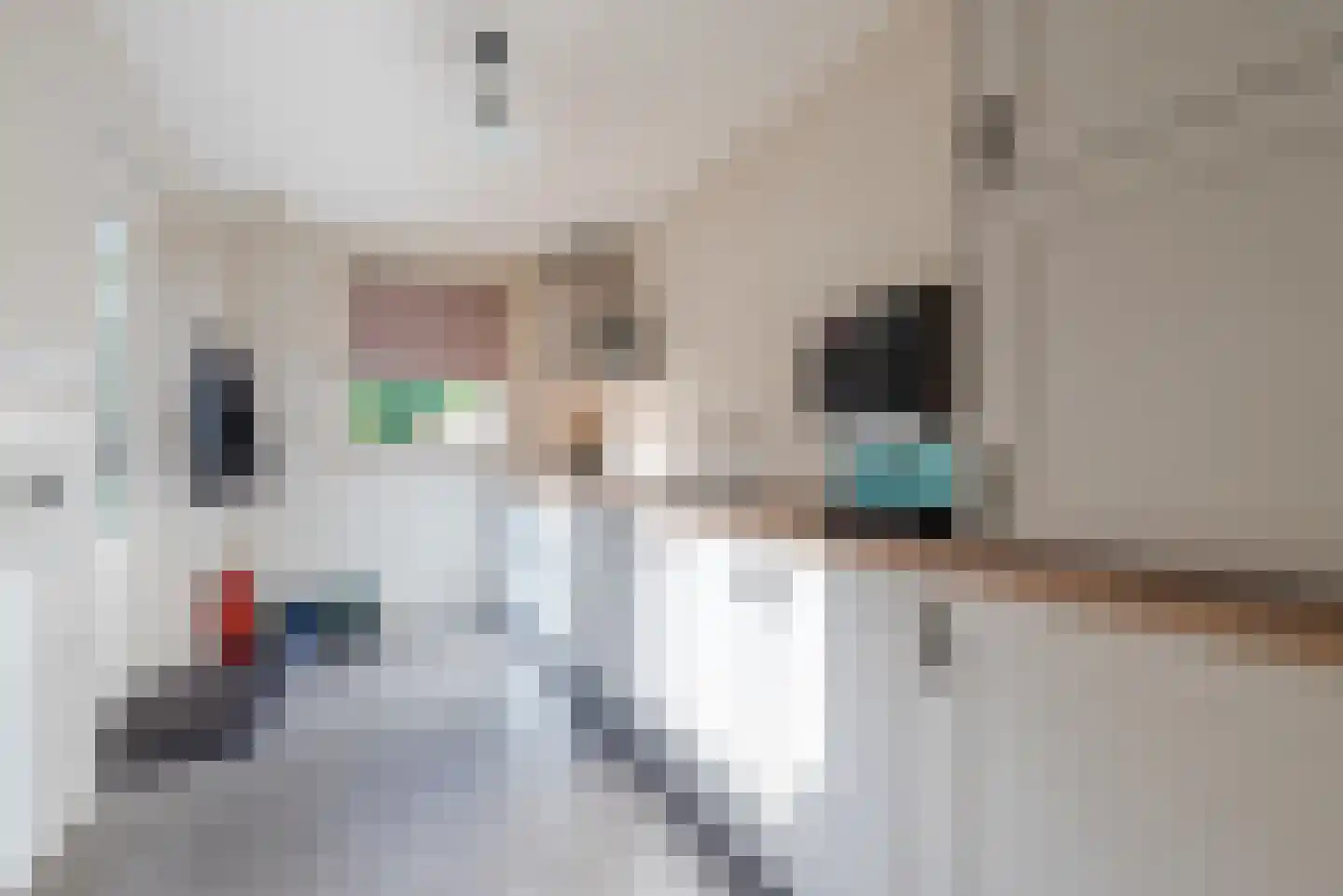 Hoge Rijt 5 Luyksgestel thumbnail 17