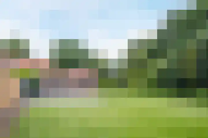 Hoge Rijt 5 Luyksgestel thumbnail 25