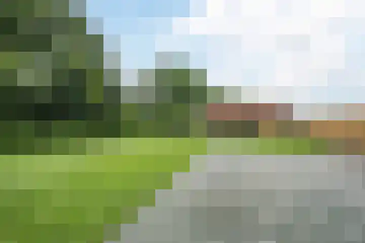 Hoge Rijt 5 Luyksgestel thumbnail 27