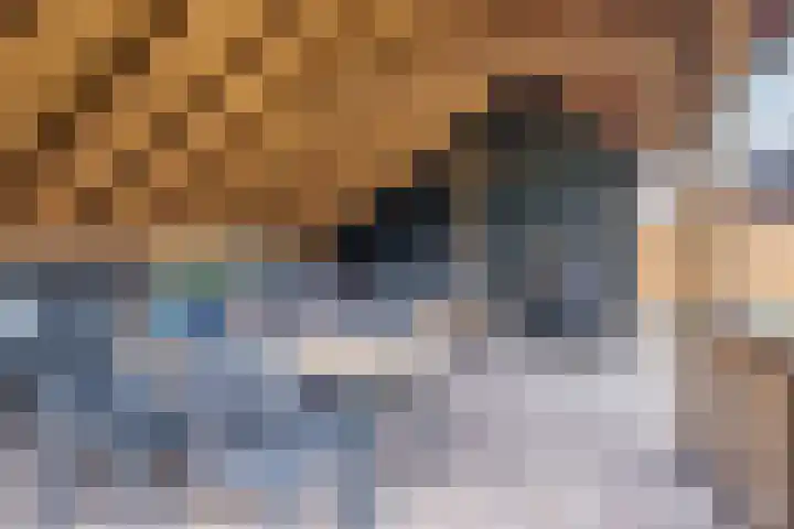 Hoge Rijt 5 Luyksgestel thumbnail 30