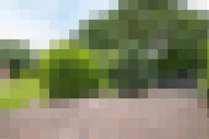 Hoge Rijt 5 Luyksgestel thumbnail 31