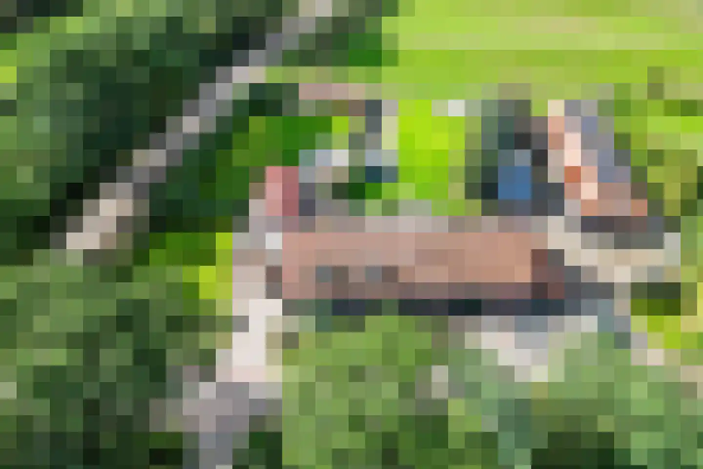 Hoge Rijt 5 Luyksgestel thumbnail 32