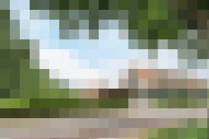 Hoge Rijt 5 Luyksgestel thumbnail 34