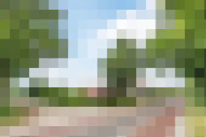 Hoge Rijt 5 Luyksgestel thumbnail 35