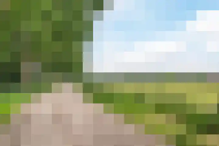 Hoge Rijt 5 Luyksgestel thumbnail 36
