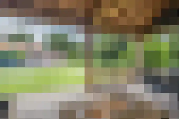 Hoge Rijt 5 Luyksgestel thumbnail 4