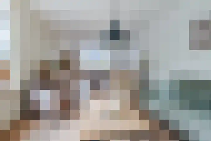 Hoge Rijt 5 Luyksgestel thumbnail 9