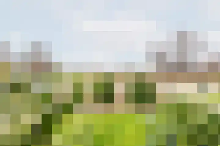 Hoge Rokken 4 Gendringen thumbnail 11