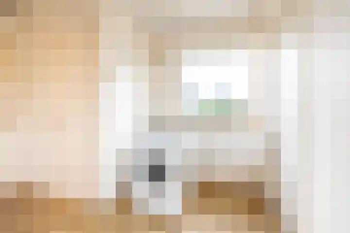 Hoge Rokken 4 Gendringen thumbnail 27