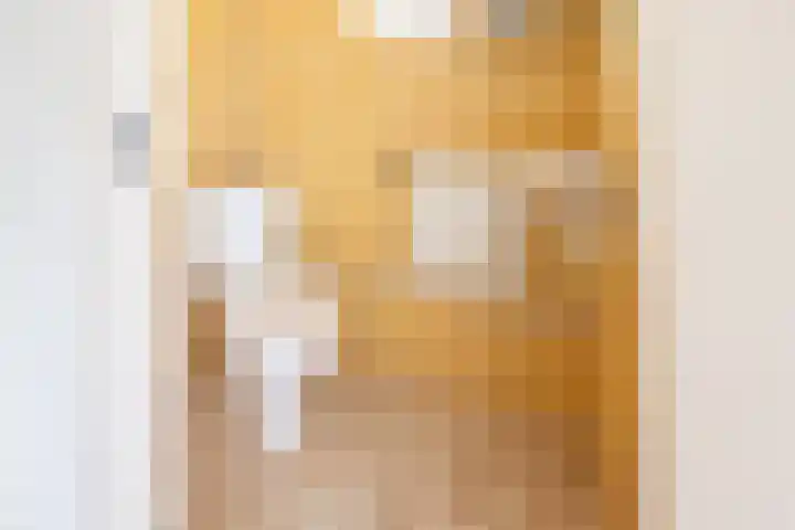 Hoge Rokken 4 Gendringen thumbnail 28