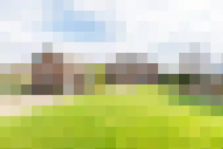 Hoge Rokken 4 Gendringen thumbnail 29