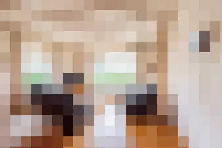 Hoge Rokken 4 Gendringen foto 3