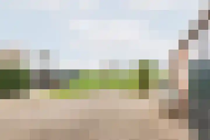 Hoge Rokken 4 Gendringen thumbnail 30