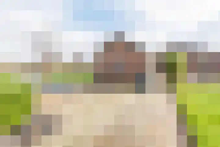 Hoge Rokken 4 Gendringen thumbnail 31