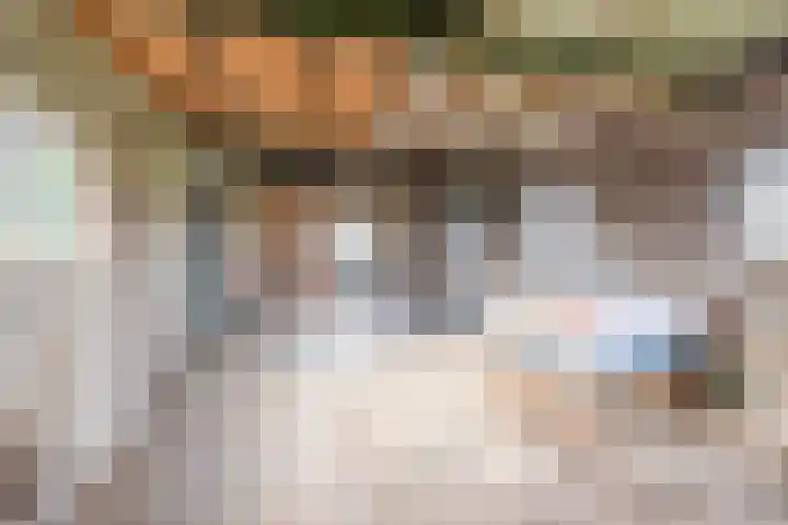 Hoge Rokken 4 Gendringen thumbnail 33