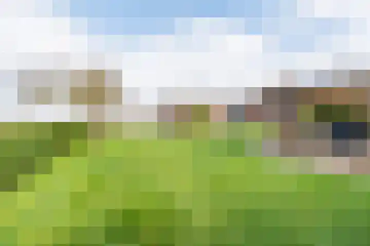 Hoge Rokken 4 Gendringen thumbnail 34