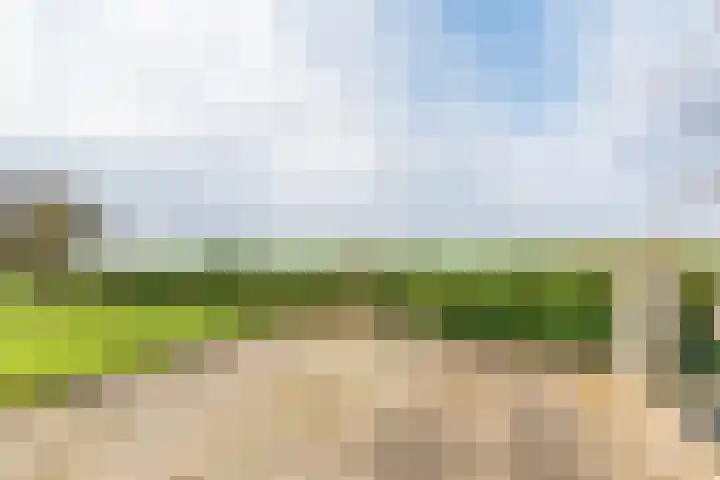 Hoge Rokken 4 Gendringen thumbnail 35