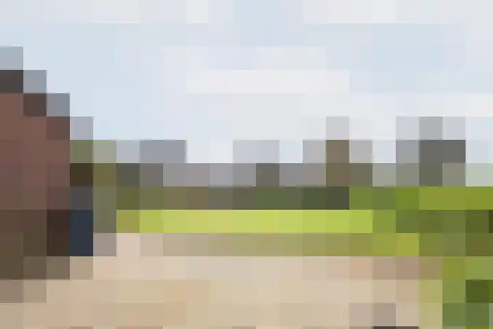 Hoge Rokken 4 Gendringen thumbnail 37