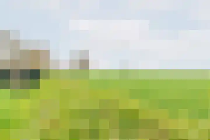Hoge Rokken 4 Gendringen thumbnail 38