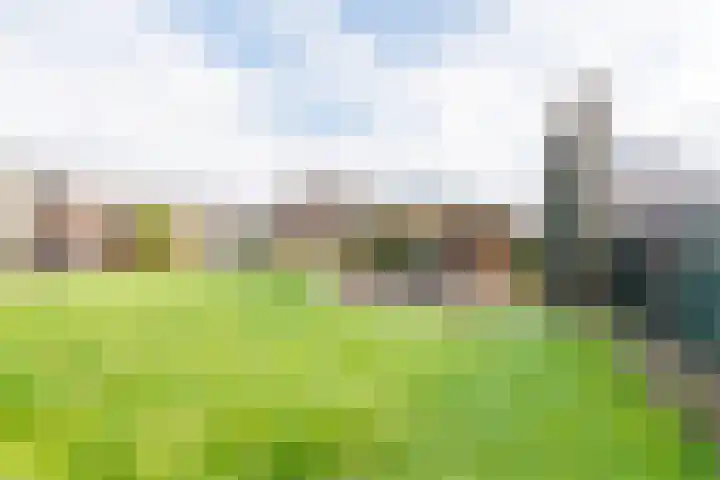 Hoge Rokken 4 Gendringen thumbnail 39