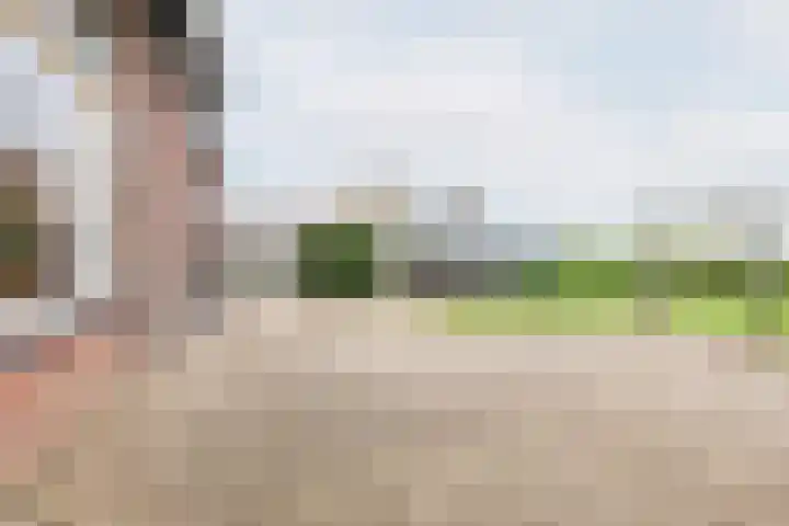 Hoge Rokken 4 Gendringen thumbnail 40