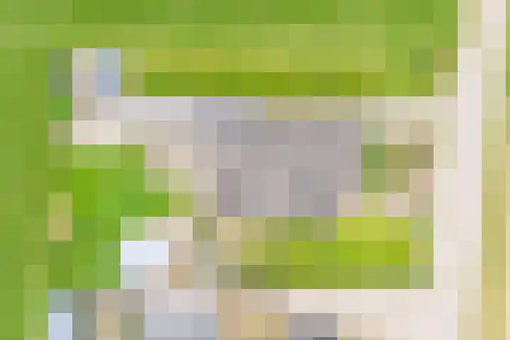 Hoge Rokken 4 Gendringen thumbnail 41