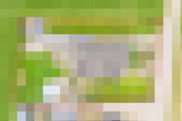 Hoge Rokken 4 Gendringen thumbnail 42