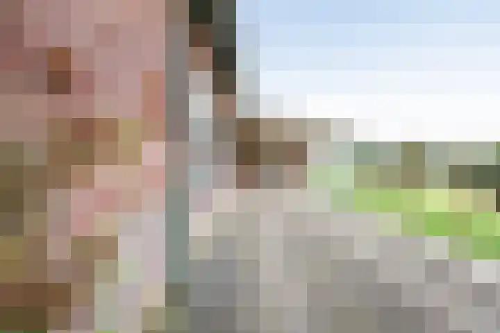Hoge Rokken 4 Gendringen thumbnail 43