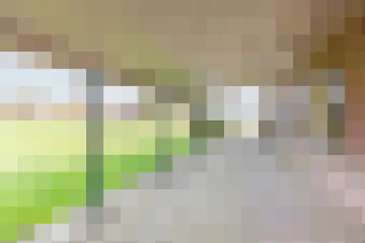 Hoge Rokken 4 Gendringen thumbnail 44