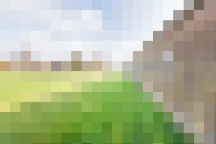 Hoge Rokken 4 Gendringen thumbnail 45