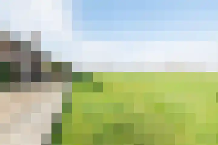 Hoge Rokken 4 Gendringen thumbnail 46