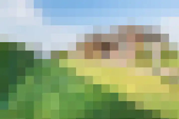 Hoge Rokken 4 Gendringen thumbnail 47