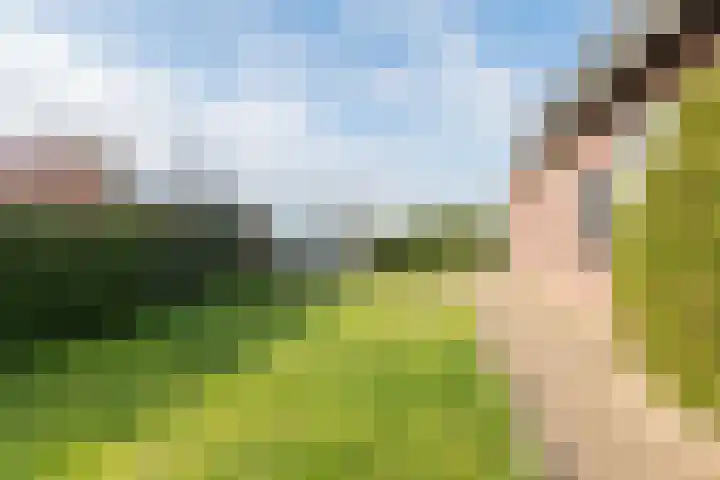 Hoge Rokken 4 Gendringen thumbnail 48
