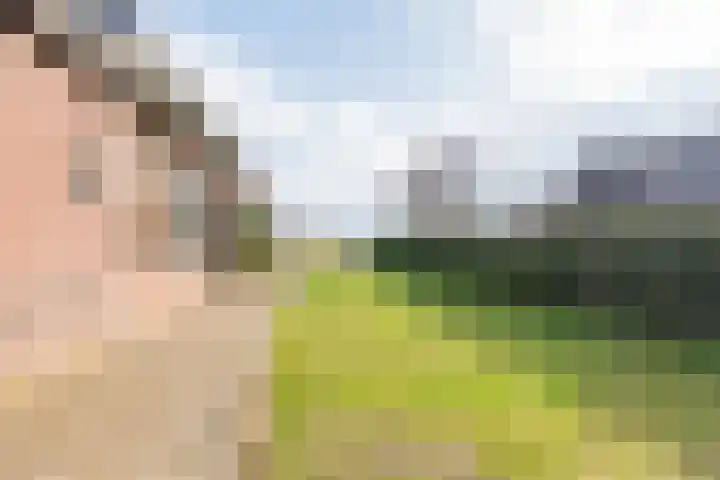 Hoge Rokken 4 Gendringen thumbnail 49