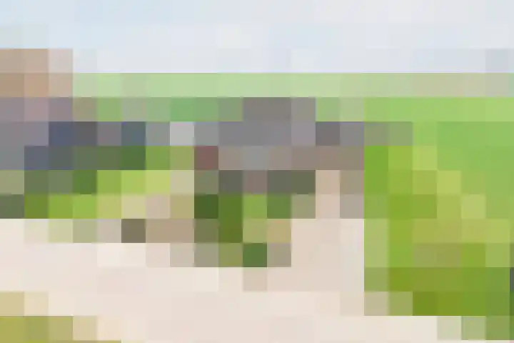 Hoge Rokken 4 Gendringen thumbnail 5