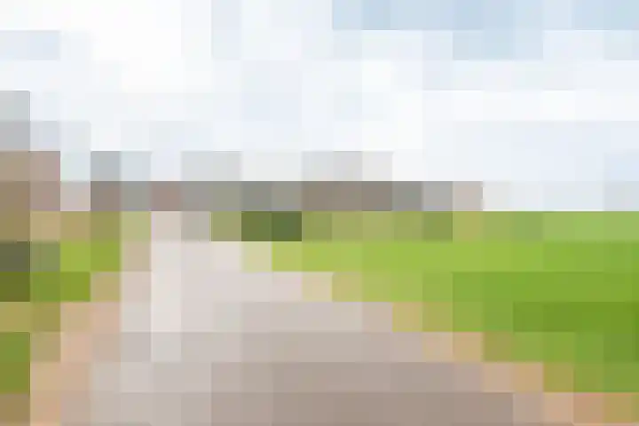 Hoge Rokken 4 Gendringen thumbnail 51