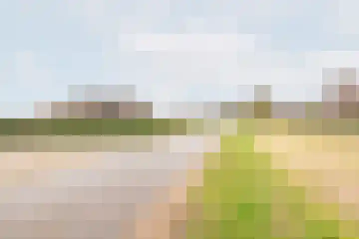 Hoge Rokken 4 Gendringen thumbnail 52