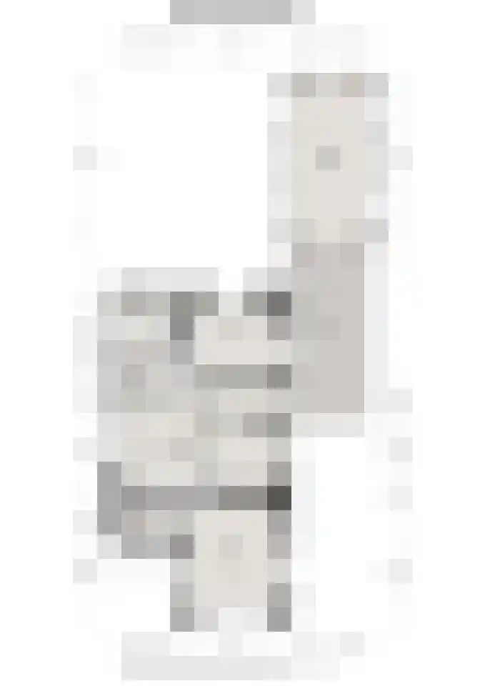 Hoge Rokken 4 Gendringen thumbnail 53