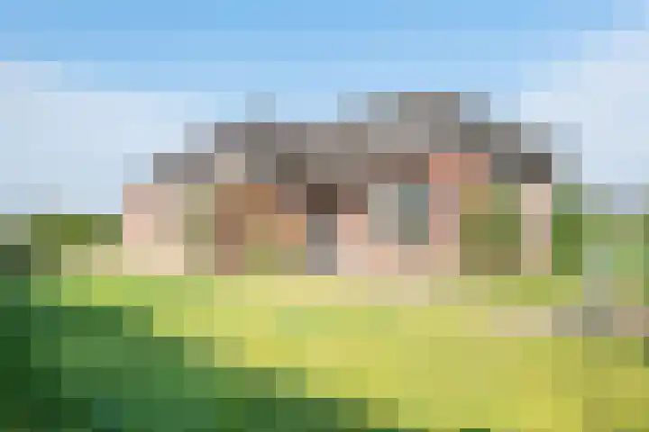 Hoge Rokken 4 Gendringen thumbnail 6