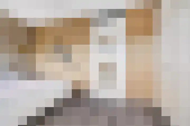 Hoge Schiehof 25 Rotterdam thumbnail 21