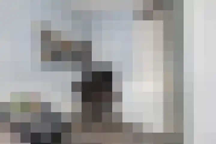 Hoge Schiehof 25 Rotterdam thumbnail 26