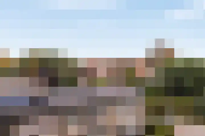 Hoge Schiehof 25 Rotterdam thumbnail 30