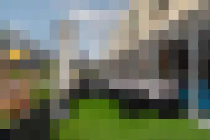 Hoge Schiehof 25 Rotterdam thumbnail 33