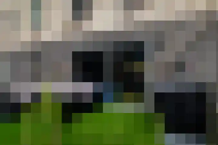Hoge Schiehof 25 Rotterdam thumbnail 34